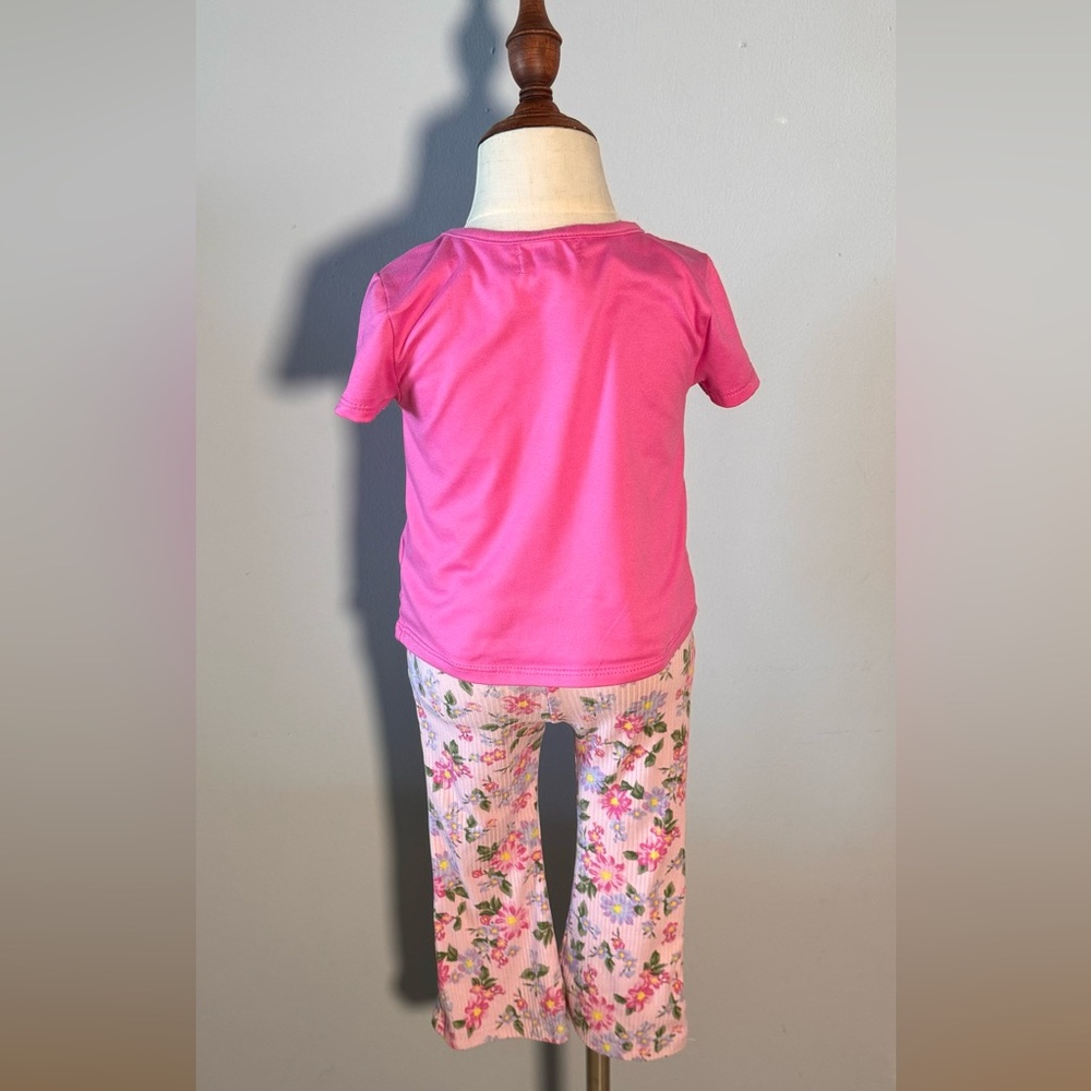 Pink Butterfly Set - Picture 2 of 4